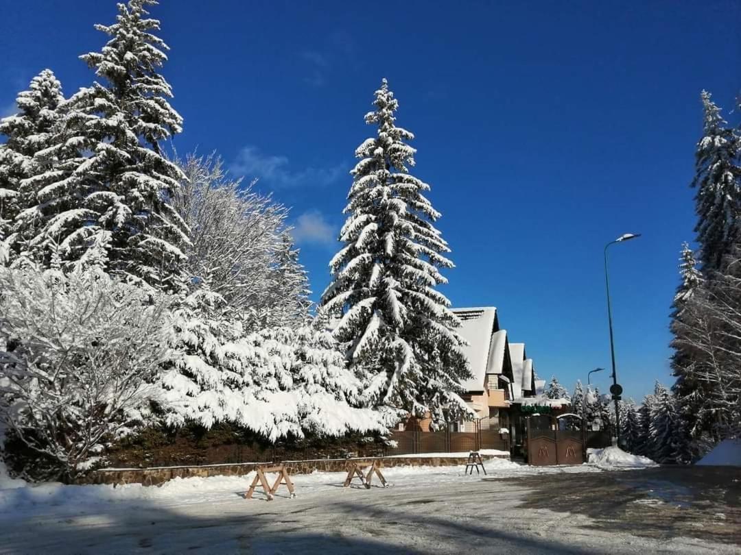 Pensiunea Colina Poiana Brasov Eksteriør bilde