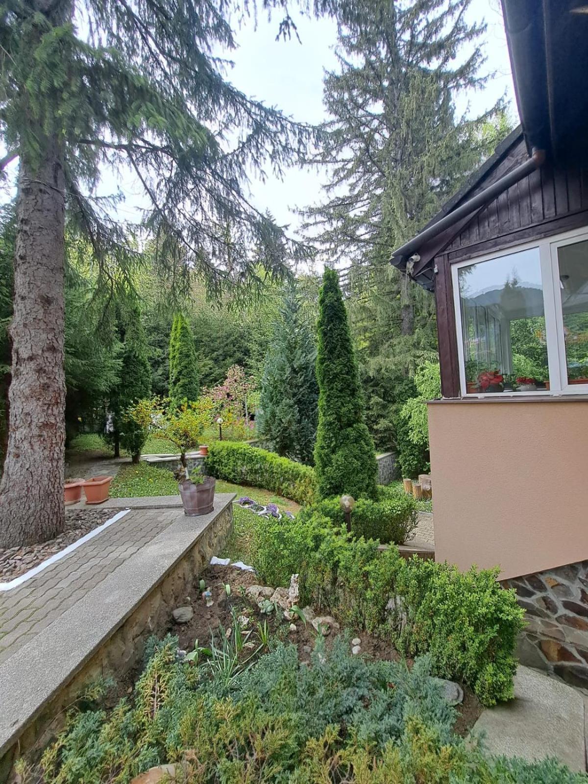 Pensiunea Colina Poiana Brasov Eksteriør bilde