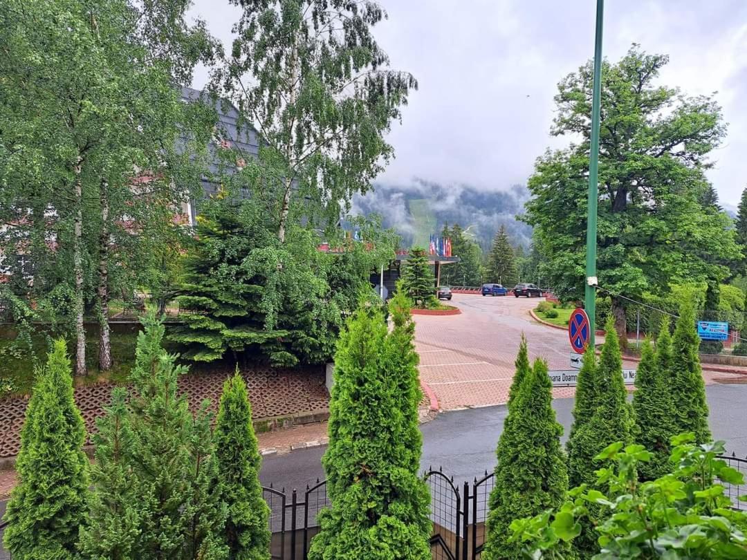 Pensiunea Colina Poiana Brasov Eksteriør bilde