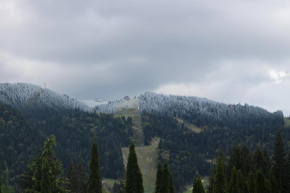 Pensiunea Colina Poiana Brasov Eksteriør bilde